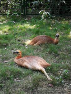 武汉春天周末带孩子玩攻略,这个季节武汉哪里适合带孩子去玩