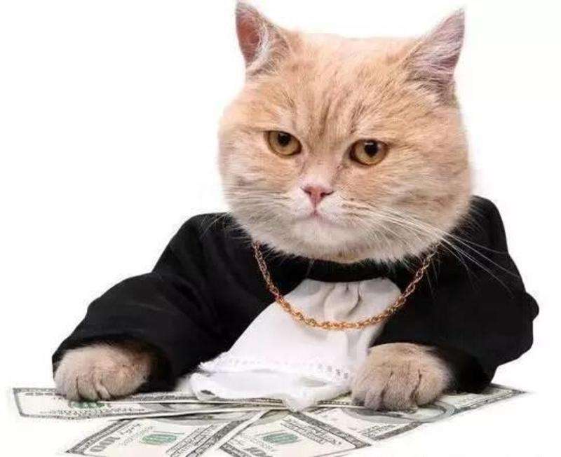 选对防晒真的太重要了,选对防晒才能白到发光