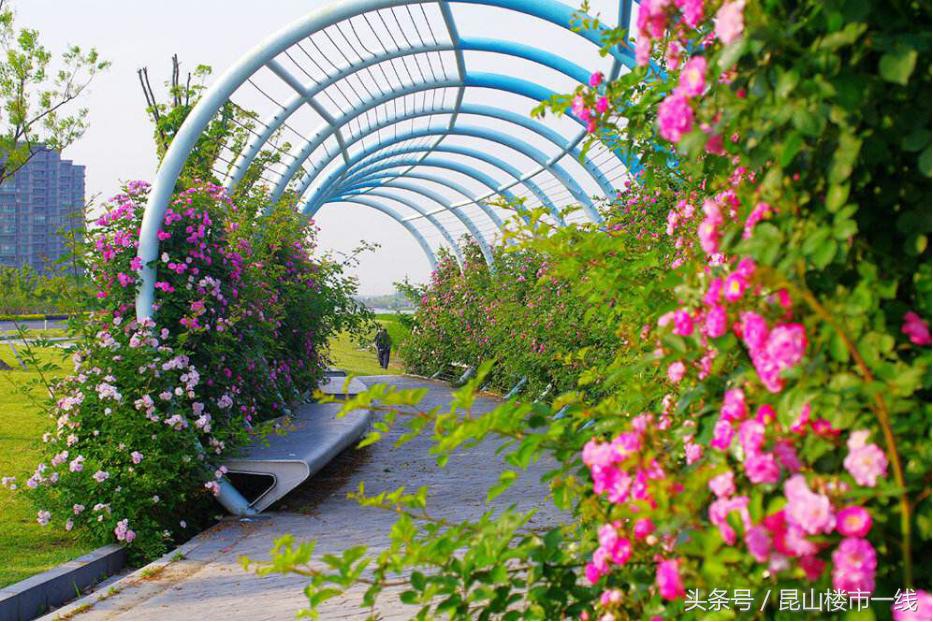 鏄嗗北鏈潵鍙戝睍娼滃姏,鏄嗗北鏈潵鍙戝睍鏂瑰悜