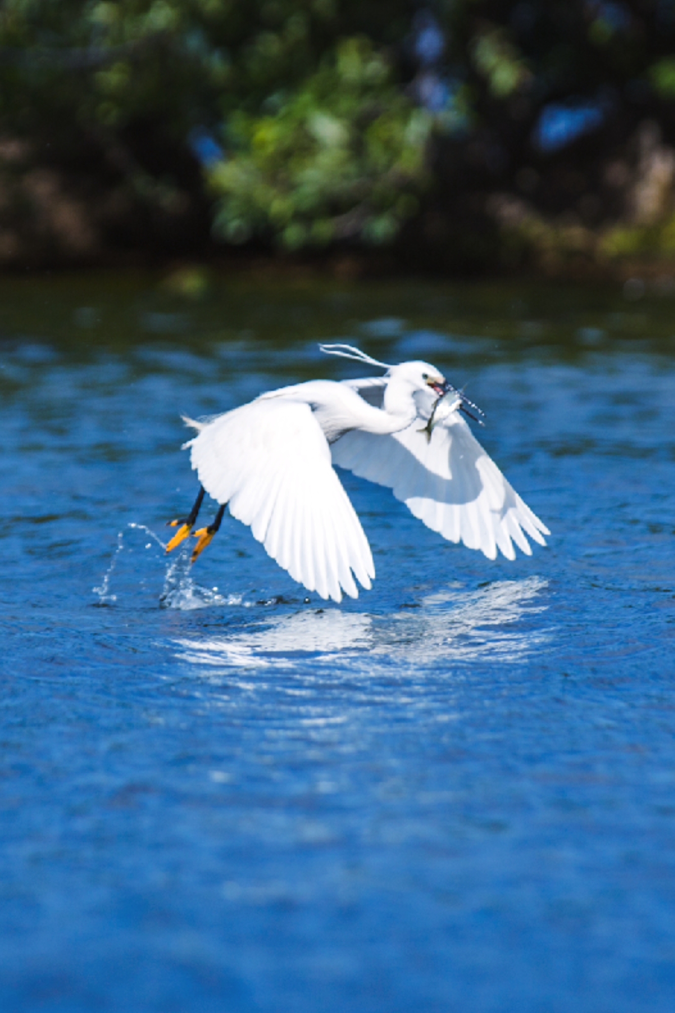 大理每个季节都很美,在大理每天都是那么的美好