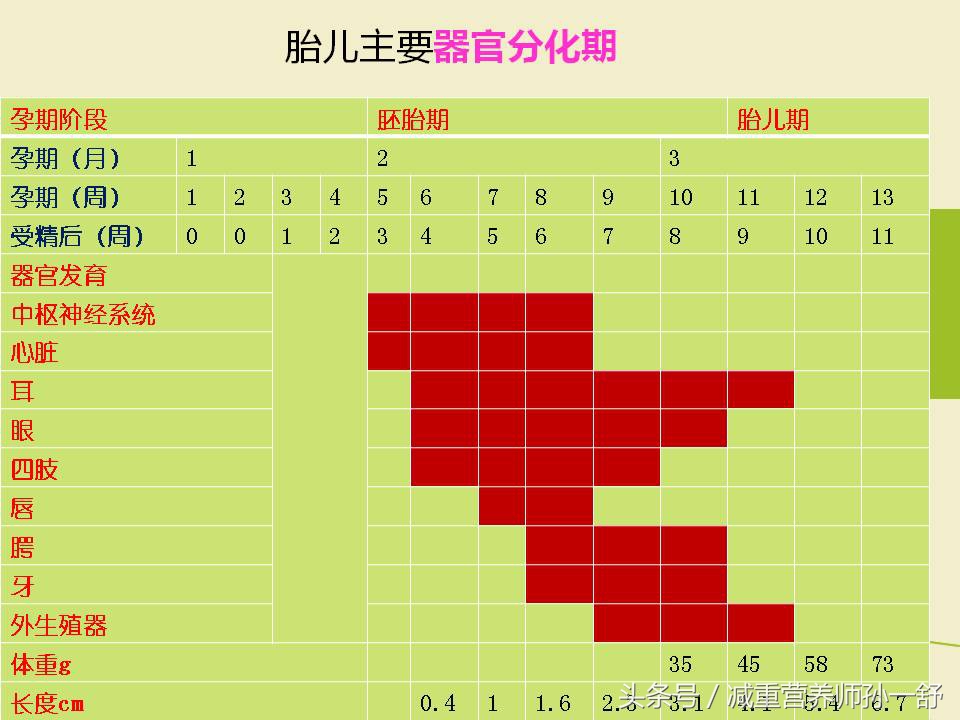 如何长胎不长肉的菜谱,孕30周体重增加7斤算长胎不长肉吗