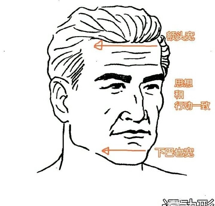 额头高但是额头窄的女人面相,额头两侧比额头中间低面相