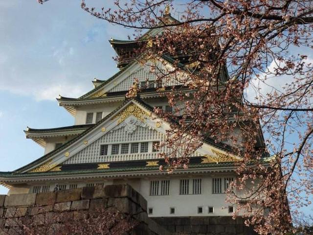 日语N1是什么水平,日语n1相当于什么水平