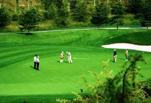 郑州有什么好玩的地方免费开放,郑州好玩的免费景点