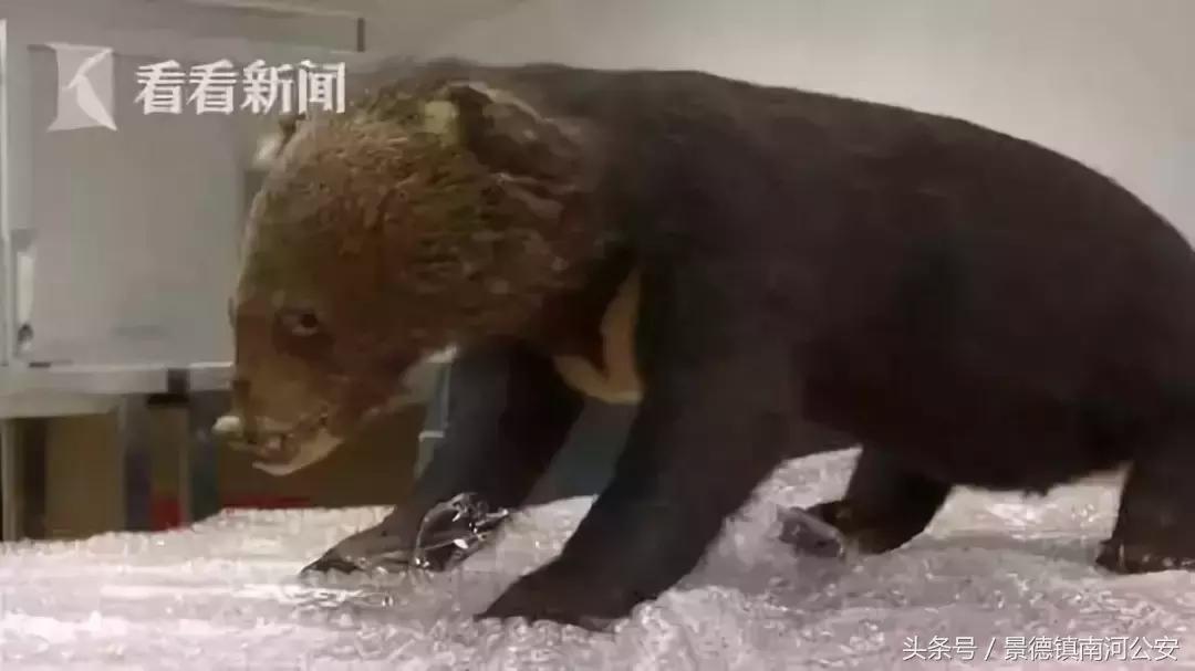 代购十大骗局揭秘图,真正的代购骗局