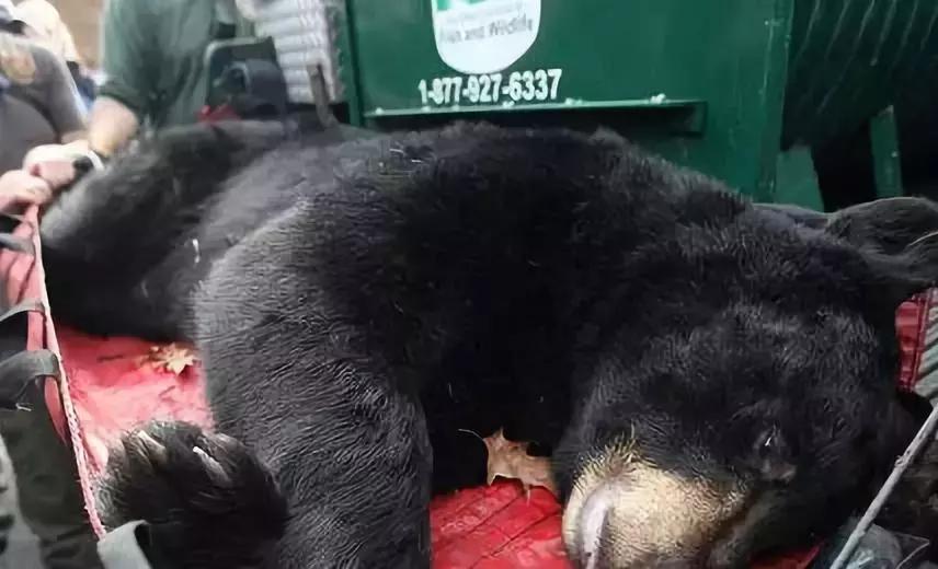 代购骗局揭秘朋友圈,代购骗局朋友圈