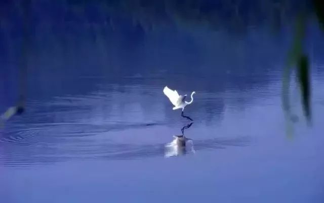 那些年背过的文言文,那些年倒背如流的25篇经典古文