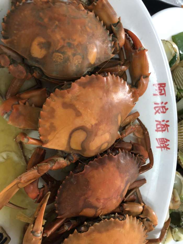 小妮子三亚,小妮子海南三亚