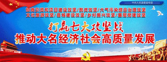 今年咱大名投资上亿的大项目、好项目，你知道几个？