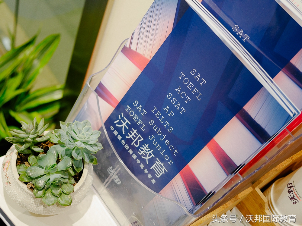 托福独立写作常见题型的素材汇总,托福口语和写作怎么练