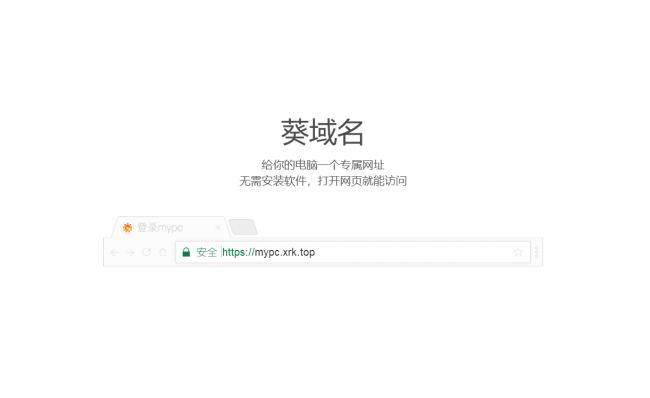 向日葵无网远控解决方案,向日葵控控a2突然断网