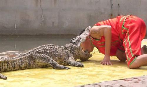 当鳄鱼咬住了一只脚,被鳄鱼咬住怎么让鳄鱼松嘴