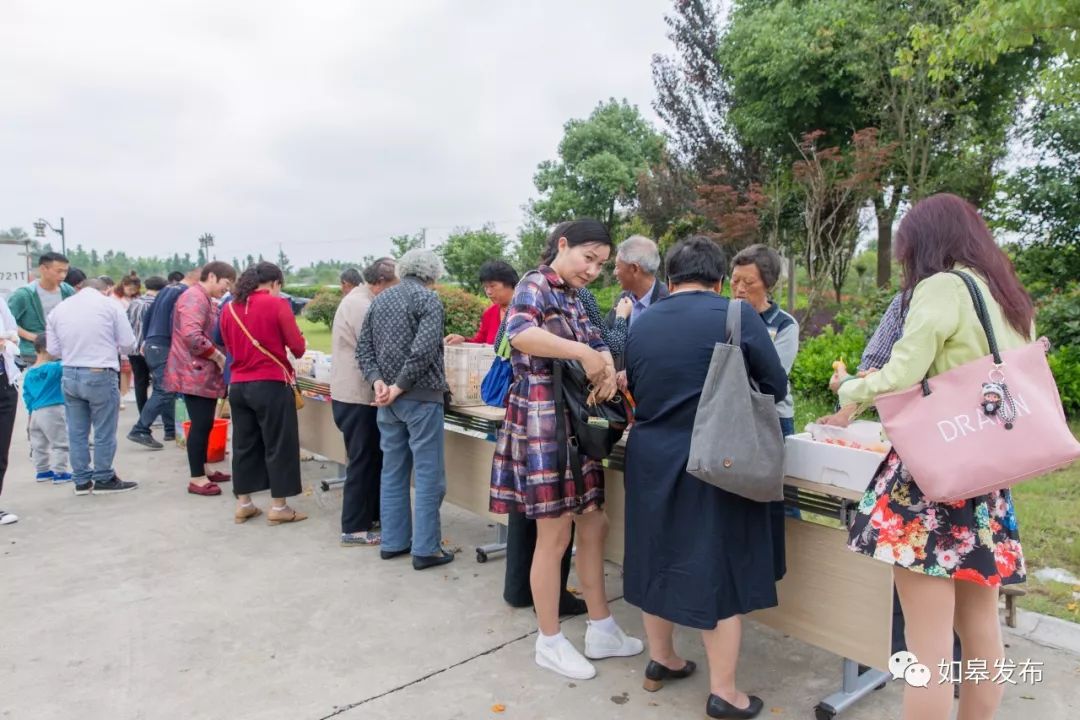 如皋这个地方种了一种神奇的树！树上会掉“金蛋”，“无涌”的人去“抢”！