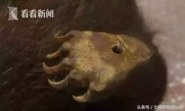 朋友圈低价卖完什么套路,朋友圈里卖低价服装的真相