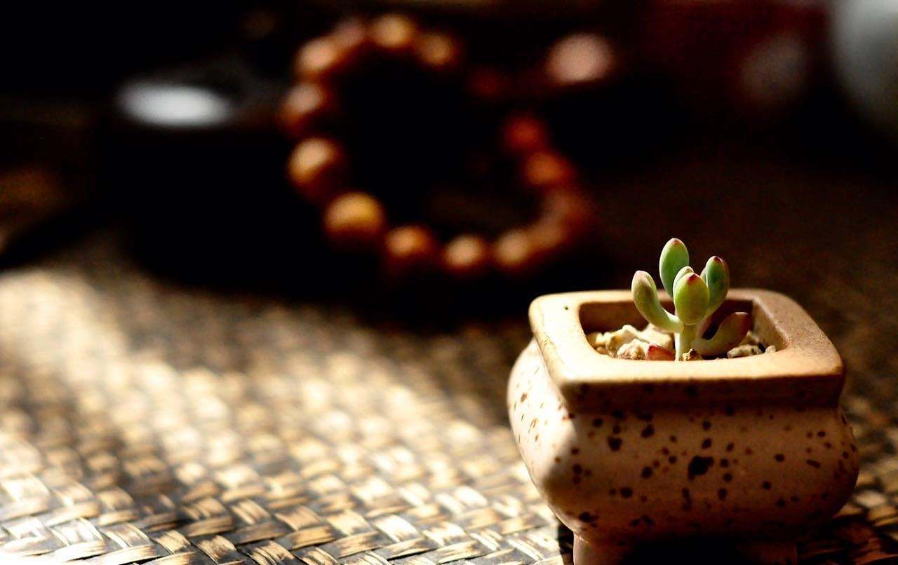 谈读书曾国藩,曾国藩读书的故事