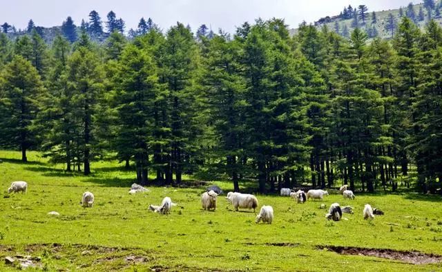 太原周边山清水秀的地方,太原附近有山有水好去处推荐