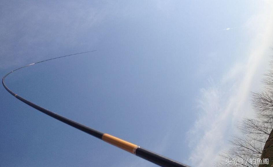 新手选择鱼竿综合竿怎么选,新手如何选择手竿鱼竿