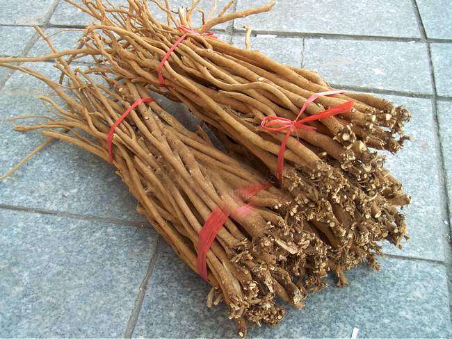 一种山上常见的野草,山里有一种野菜