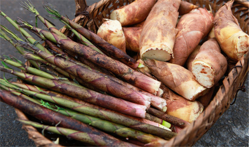 竹笋干和什么菜搭配好吃,不知道鲜笋怎么凉拌的快来看看