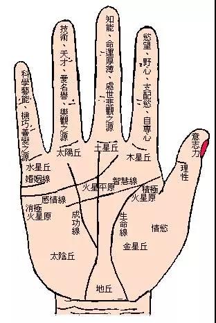 手相真的能决定一个人吗,手相真的可以窥探一个人的一生吗