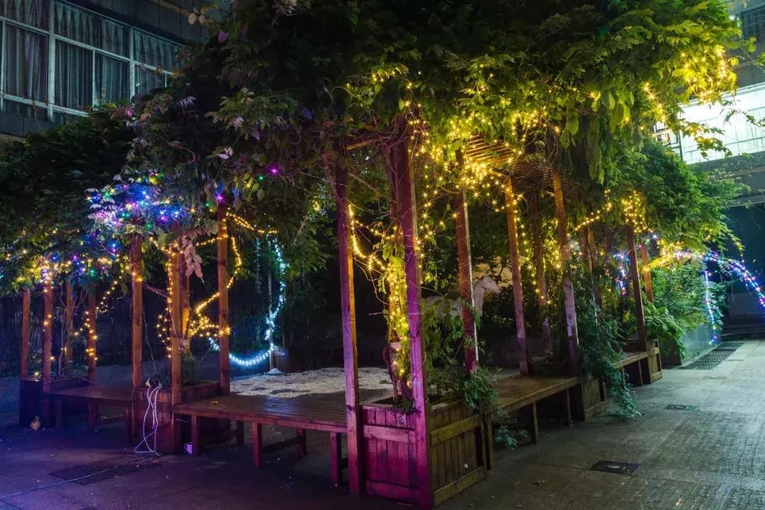 南艺你不知道的事,南艺的真实生活