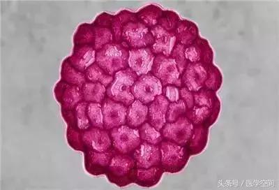 美国癌症协会公布九大防癌建议 (美国癌症协会公布9大防癌建议)