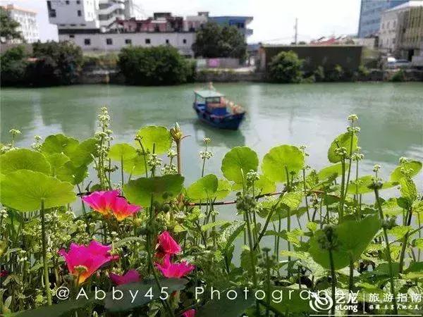 一份关于厦门的回忆,做了一场关于厦门的梦