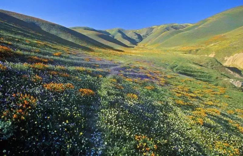 高一函数从零开始学习方法,高中函数学习方法大全