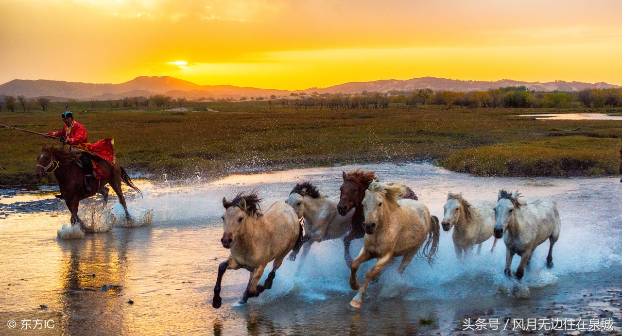 蒙古马和套马图片,蒙古套马绳子教学