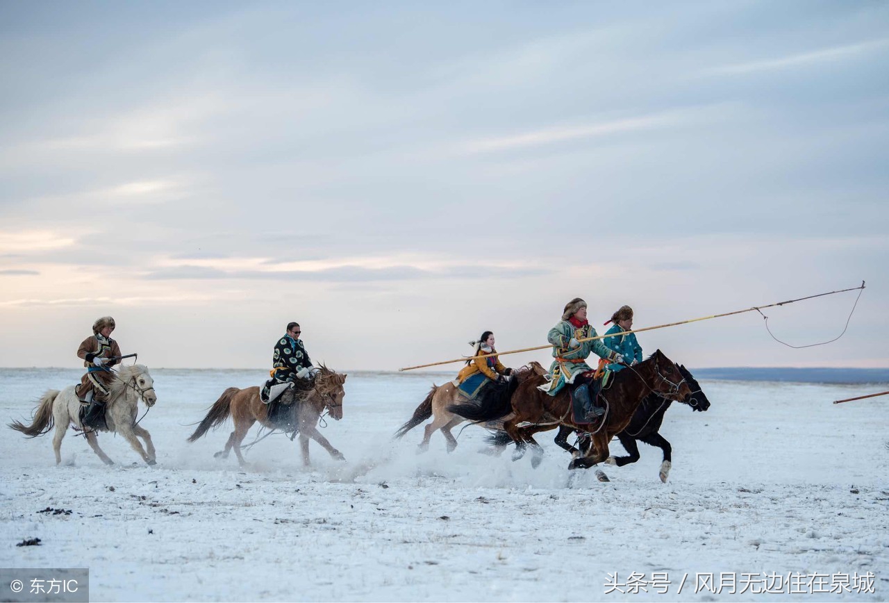 蒙古马和套马图片,蒙古套马绳子教学
