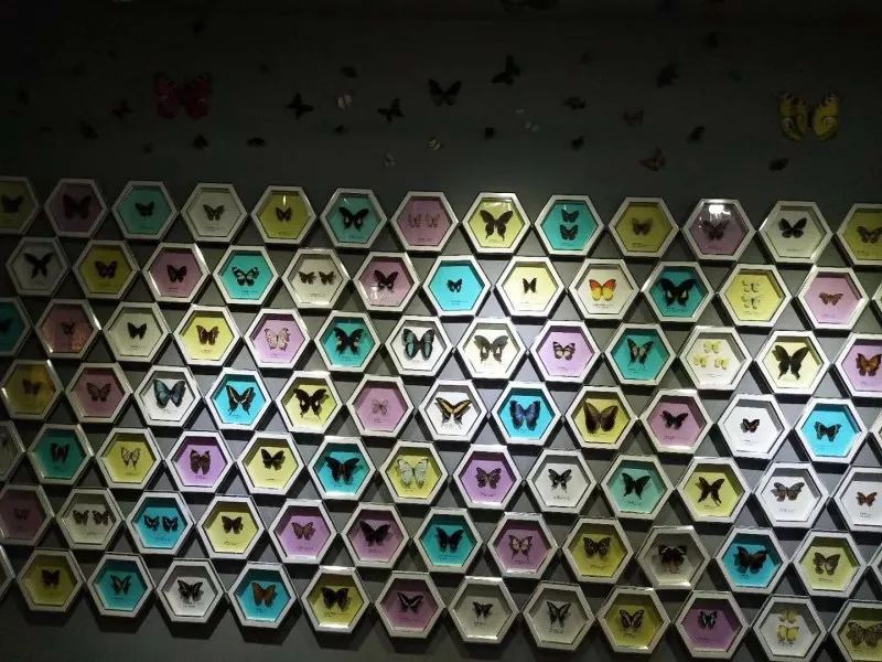 亲自然亲子户外活动太原,太原六一带孩子去哪里玩比较好