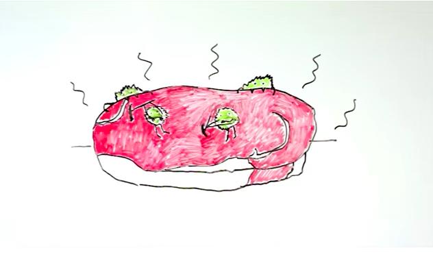 烹饪食用的三文鱼能生吃吗,不新鲜的三文鱼生吃会怎么样