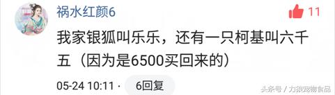 你给宠物起过哪些奇葩的名字？盘点那些让人印象深刻的宠物名字！