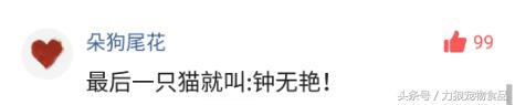 你给宠物起过哪些奇葩的名字？盘点那些让人印象深刻的宠物名字！