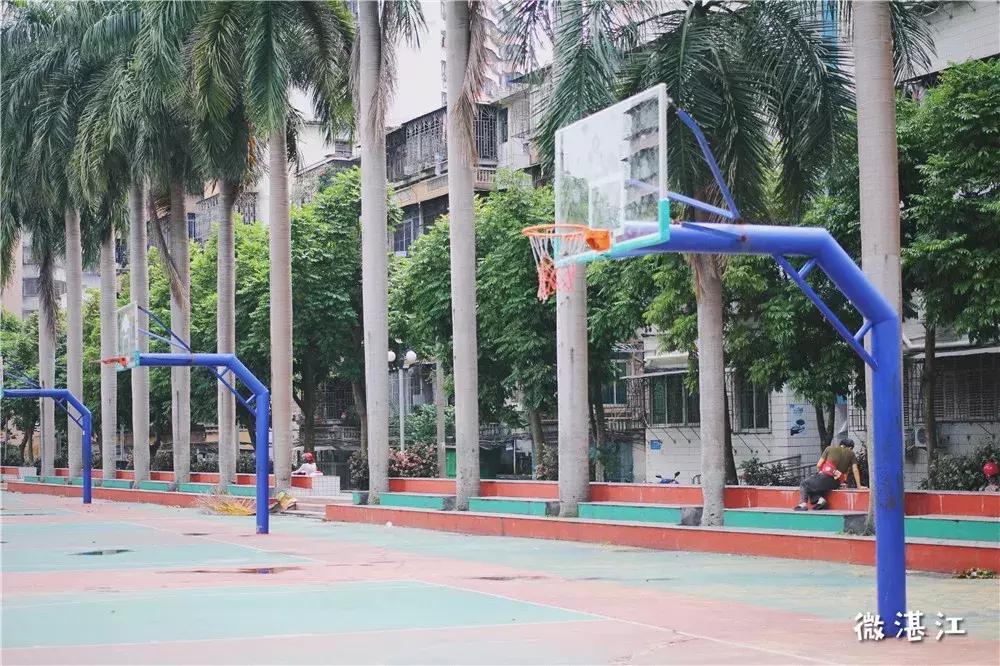 再见了四年级,再见了四年级的时光