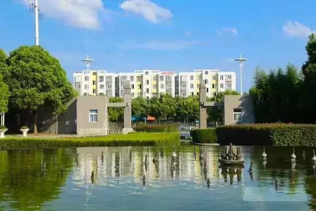 阜阳五中是哪个镇,阜阳五中口碑怎么样