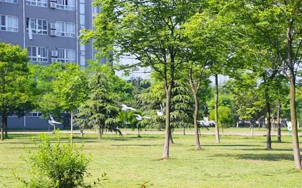 阜阳五中是哪个镇,阜阳五中口碑怎么样