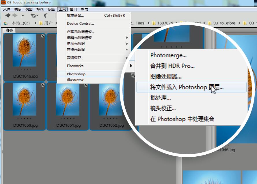 微距摄影后期合成,微距照片景深合成