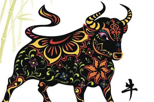 12生肖丑牛在2023年的财运和运势,十二生肖丑牛运程