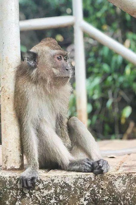 人在囧途旅游路线,人在囧途之毛里求斯