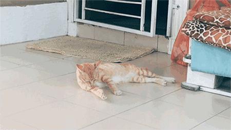 人在囧途通关攻略,人在囧途之历险