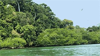 人在囧途旅游路线,人在囧途之毛里求斯