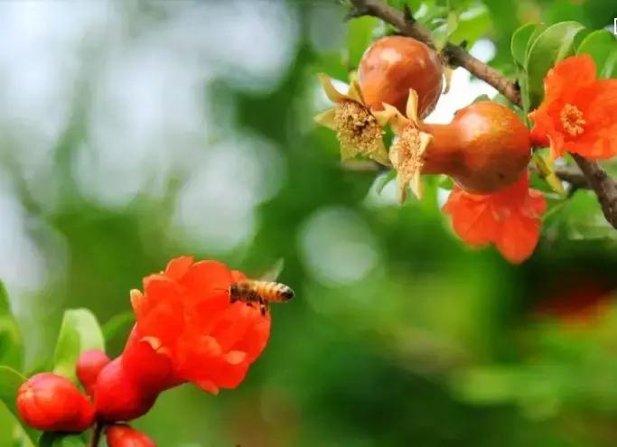 五月天的梦,五月的天梦开始的地方