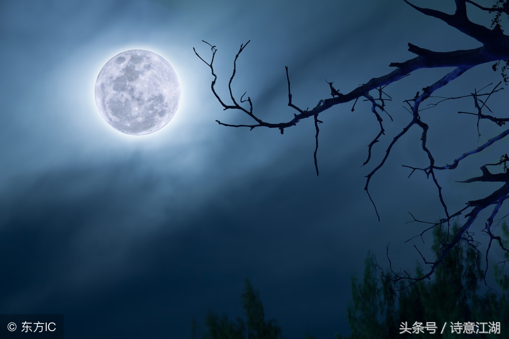 关于月亮的诗句和情感,跟月亮有关的诗句及表达的情感