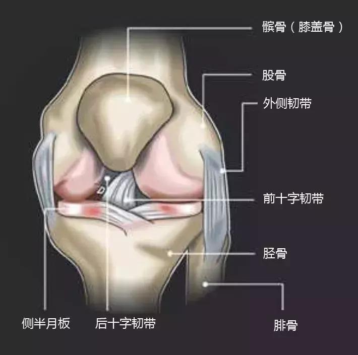 健康科普这些动作比跑步更伤膝,一个动作不伤膝盖等于慢跑一小时