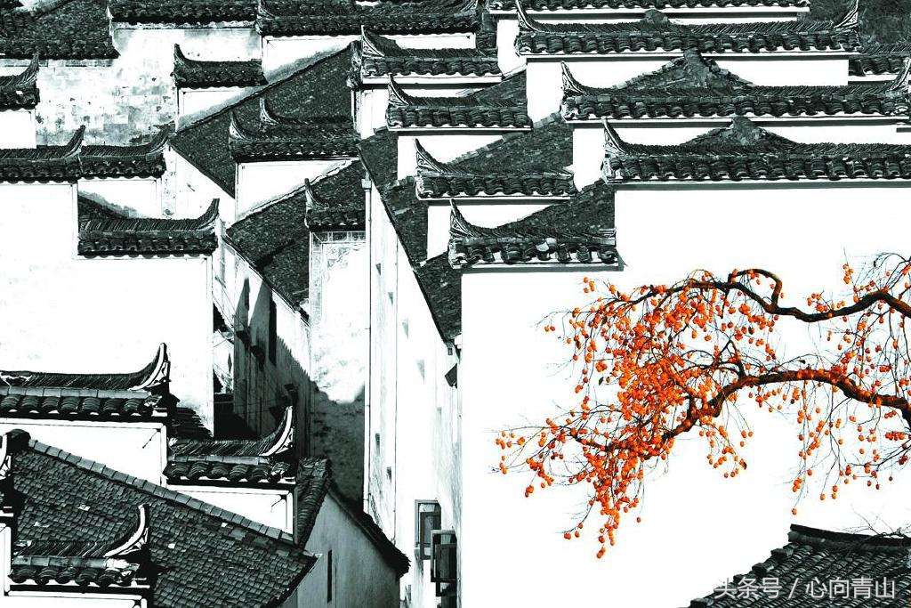 古人的籍贯是祖籍还是出生地,祖籍籍贯出生地有什么区别