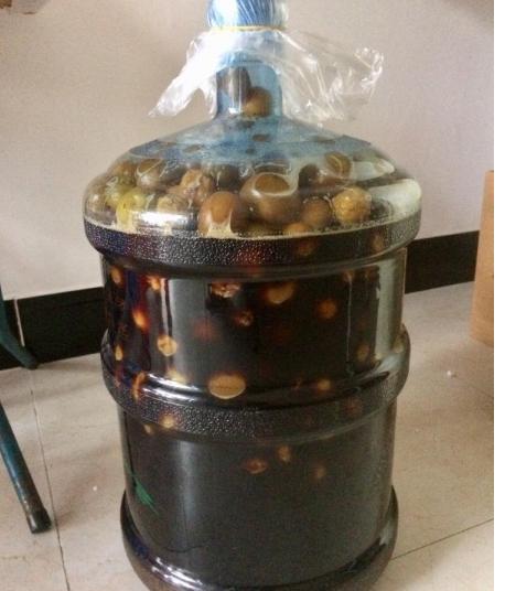 自制梅子酵素清肠排宿便,通便的梅子酵素