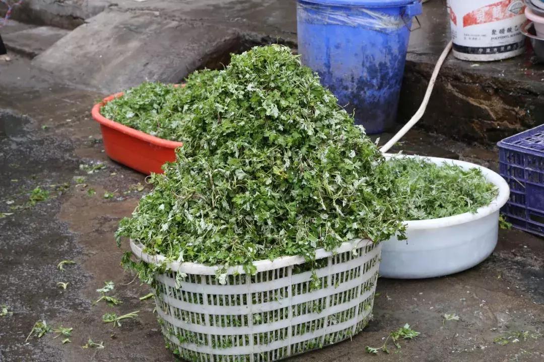 象山老县城,象山变迁