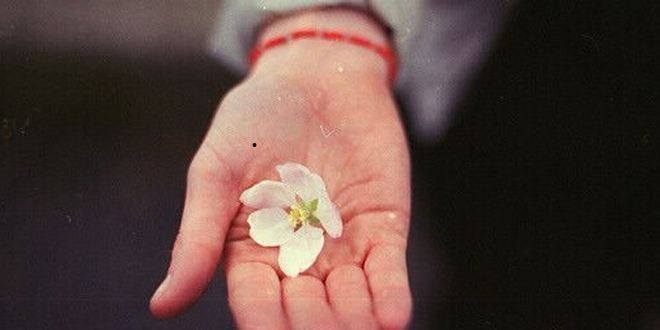 手心痣代表的器官,手心痣相图解男