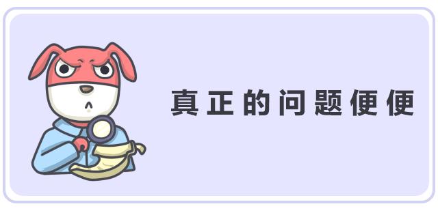 令人困扰的便便儿童科普,关于便便的小知识
